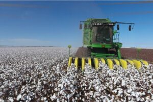 Se necesitan trabajadores para campo de cosecha en recolección de frutas y verduras se-necesitan-trabajadores-para-campo-de-cosecha-en-recoleccion-de-frutas-y-verduras
